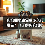 狗狗细小康复后多久打疫苗?(了解狗狗细小康复后疫苗接种时间的重要性)(图4) 狗狗细小康复后疫苗接种时间指南|重要注意事项全解析(图4)