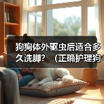 狗狗体外驱虫后适合多久洗脚?(正确护理狗狗足部,关注健康与幸福)(图2) 狗狗体外驱虫后洗脚时间指南|正确护理足部健康(图2)