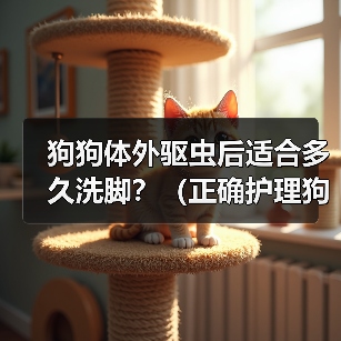 狗狗体外驱虫后适合多久洗脚?(正确护理狗狗足部,关注健康与幸福)(图3) 狗狗体外驱虫后洗脚时间指南|正确护理足部健康(图3)