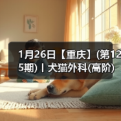 犬猫外科高阶实操班｜SUB技术与复杂手术全解析(图3)