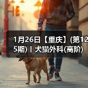 犬猫外科高阶实操班｜SUB技术与复杂手术全解析