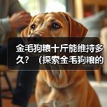 金毛狗粮十斤能维持多久?(探索金毛狗粮的消耗速度及合理喂养方法)(图4) 金毛狗粮十斤能维持多久|喂养全攻略(图4)