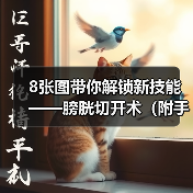 膀胱切开术操作步骤与技巧｜手术全攻略(图2)