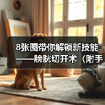 膀胱切开术操作步骤与技巧｜手术全攻略