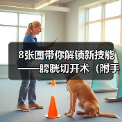 膀胱切开术操作步骤与技巧｜手术全攻略(图4)