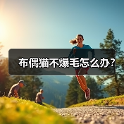 布偶猫爆毛不明显怎么办｜毛发护理全攻略(图2)