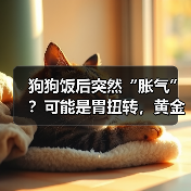 狗狗饭后胀气可能是胃扭转｜急救全攻略(图2)