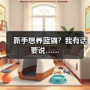 新手养蓝猫需知的三大要点｜饲养全攻略(图3)