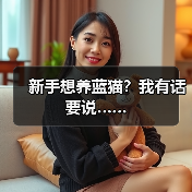 新手养蓝猫需知的三大要点｜饲养全攻略(图4)