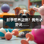 新手养蓝猫需知的三大要点｜饲养全攻略(图2)