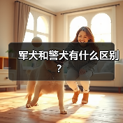 军犬与警犬的区别解析｜工作职责与品种对比(图3)