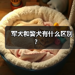 军犬与警犬的区别解析｜工作职责与品种对比(图1)
