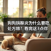 狗狗胰腺炎为何要吃处方粮｜科学喂养全攻略(图4)