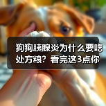 狗狗胰腺炎为何要吃处方粮｜科学喂养全攻略(图3)