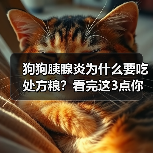 狗狗胰腺炎为何要吃处方粮｜科学喂养全攻略(图1)