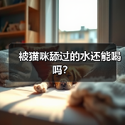 被猫咪舔过的水还能喝吗｜健康饮水指南(图2)