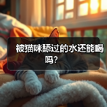 被猫咪舔过的水还能喝吗｜健康饮水指南(图1)