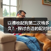 以德牧配狗第二次格多久?-探讨合适的配对时间(探索以德牧配狗的理想交配间隔及其对繁殖结果的影响)(图3) 以德牧第二次配狗时间探讨|科学间隔指南(图3)