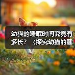 幼猫睡眠时间全攻略：科学了解与正确照顾