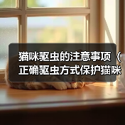 猫咪驱虫注意事项与正确方式｜健康保护全攻略