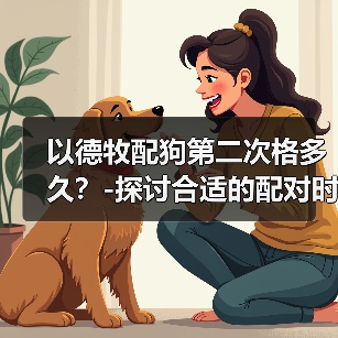 以德牧配狗第二次格多久?-探讨合适的配对时间(探索以德牧配狗的理想交配间隔及其对繁殖结果的影响)(图4) 以德牧第二次配狗时间探讨|科学间隔指南(图4)