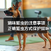 猫咪驱虫注意事项与正确方式｜健康保护全攻略(图2)
