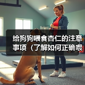 给狗狗喂食杏仁的注意事项(了解如何正确喂食杏仁,确保狗狗的健康)(图3) 狗狗喂食杏仁注意事项|健康喂养全攻略(图3)