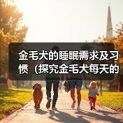 金毛犬睡眠需求全攻略｜科学安排助健康