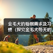 金毛犬的睡眠需求及习惯(探究金毛犬每天的睡眠时间和相关行为)(图4) 金毛犬睡眠需求全攻略|科学安排助健康(图4)