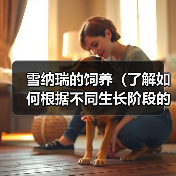 雪纳瑞的饲养(了解如何根据不同生长阶段的需求,科学喂养你的雪纳瑞)(图3) 雪纳瑞科学喂养指南|各阶段营养需求全解析(图3)