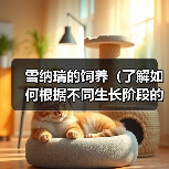 雪纳瑞的饲养(了解如何根据不同生长阶段的需求,科学喂养你的雪纳瑞)(图4) 雪纳瑞科学喂养指南|各阶段营养需求全解析(图4)