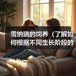 雪纳瑞科学喂养指南｜各阶段营养需求全解析