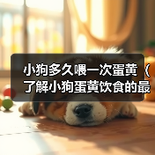 小狗多久喂一次蛋黄(了解小狗蛋黄饮食的最佳频率)(图2) 小狗喂蛋黄频率指南|科学喂养全攻略(图2)