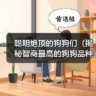 聪明绝顶的狗狗品种｜智商最高的犬种推荐