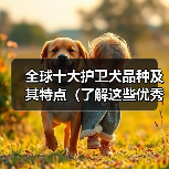 全球十大护卫犬品种及其特点(了解这些优秀的护卫犬,保护你的家和财产安全)(图4) 全球十大护卫犬品种推荐|安全守护全攻略(图4)