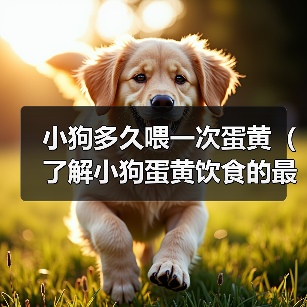 小狗多久喂一次蛋黄(了解小狗蛋黄饮食的最佳频率)(图4) 小狗喂蛋黄频率指南|科学喂养全攻略(图4)