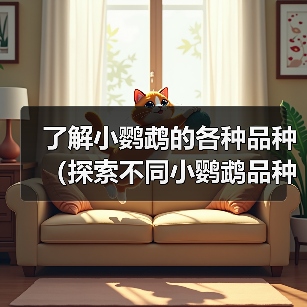 小鹦鹉品种大全｜常见类型特点与养护指南