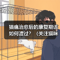 猫瘟治愈后的康复期该如何渡过?(关注猫咪的康复需要注意的关键细节)(图4) 猫瘟康复期护理要点|全面指南(图4)