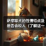 萨摩耶犬性情特点及是否咬人分析｜饲养指南全攻略(图2)