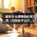 解析牛头梗宠物的常见病(预防胜于治疗,让我们一起了解牛头梗的健康问题)(图2) 牛头梗常见疾病预防全攻略(图2)