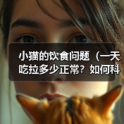 小猫的饮食问题(一天吃拉多少正常?如何科学喂养?)(图3) 小猫科学喂养指南|饮食量与注意事项全解析(图3)