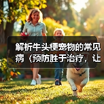 解析牛头梗宠物的常见病(预防胜于治疗,让我们一起了解牛头梗的健康问题)(图3) 牛头梗常见疾病预防全攻略(图3)
