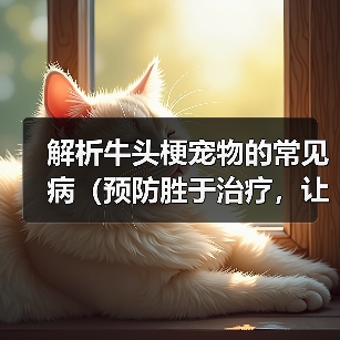 解析牛头梗宠物的常见病(预防胜于治疗,让我们一起了解牛头梗的健康问题)(图1) 牛头梗常见疾病预防全攻略(图1)