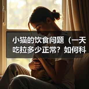 小猫的饮食问题(一天吃拉多少正常?如何科学喂养?)(图1) 小猫科学喂养指南|饮食量与注意事项全解析(图1)