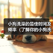 小狗洗澡的最佳时间及频率(了解你的小狗洗澡的最佳时间和频率有助于保持它的健康)(图3) 小狗洗澡最佳时间及频率|科学护理全攻略(图3)