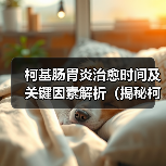 柯基肠胃炎治愈时间及关键因素解析(揭秘柯基肠胃炎康复周期,关注饮食和生活习惯)(图1) 柯基肠胃炎康复周期解析|关键因素与护理指南(图1)