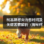 柯基肠胃炎治愈时间及关键因素解析(揭秘柯基肠胃炎康复周期,关注饮食和生活习惯)(图2) 柯基肠胃炎康复周期解析|关键因素与护理指南(图2)