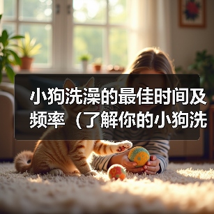 小狗洗澡的最佳时间及频率(了解你的小狗洗澡的最佳时间和频率有助于保持它的健康)(图2) 小狗洗澡最佳时间及频率|科学护理全攻略(图2)