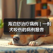 犬咬伤感染治疗案例｜保守疗法效果分析(图4)