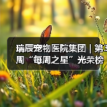瑞辰每周之星评选结果｜优秀员工风采展示(图4)